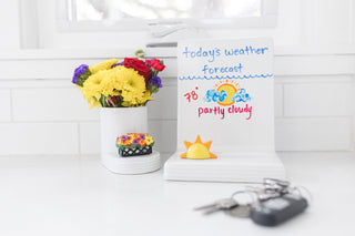 Nora Fleming Love Blooms Here Mini | Window Box