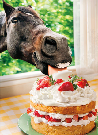 "Horse In window Eating Cake" Friendship Card