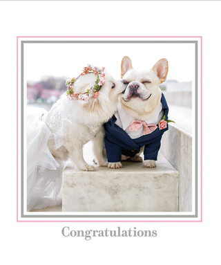 Wedding Dogs | Greeting Card