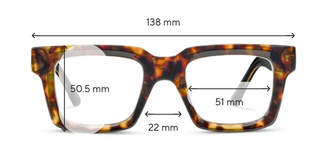 Spotlight Reading Glasses - Tortoise/Black