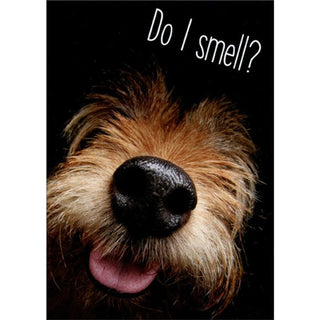 Do I Smell? | Birthday Greeting Card