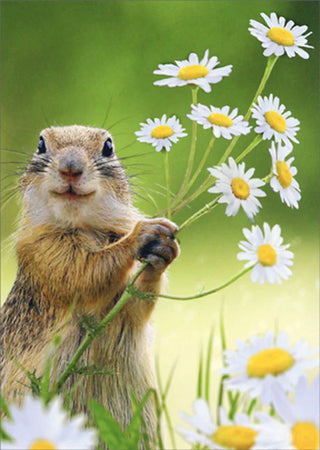 "Squirrel Holding Flower" Thank You Card