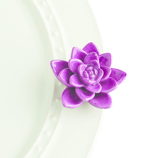 Get Growing, Purple Flower Mini